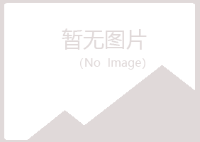 长春晓夏咨询有限公司